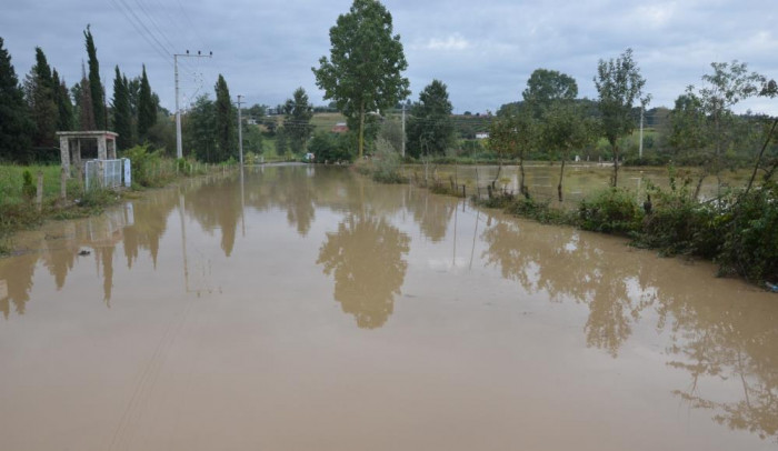 Bafra'da dere taştı, tarım arazileri sular altında kaldı