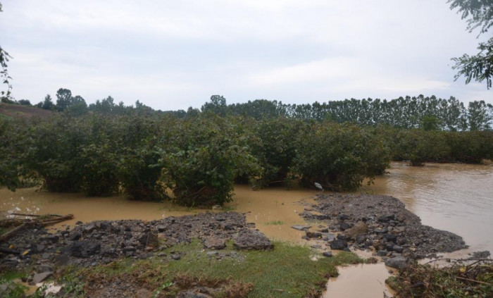Bafra'da dere taştı, tarım arazileri sular altında kaldı