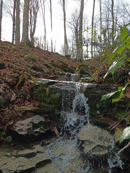 Nebiyan’da sonbahar güzelliği