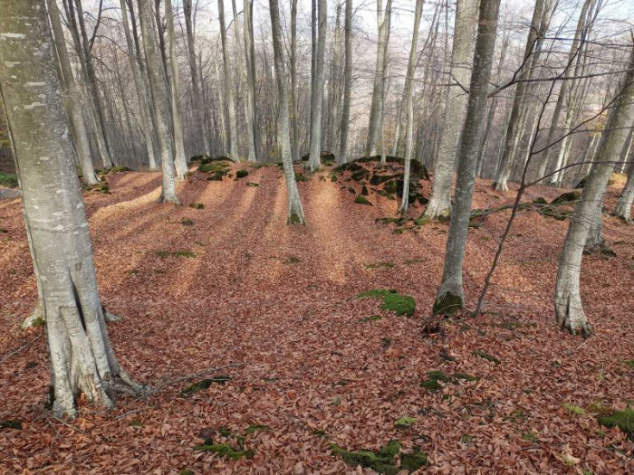 Nebiyan’da sonbahar güzelliği