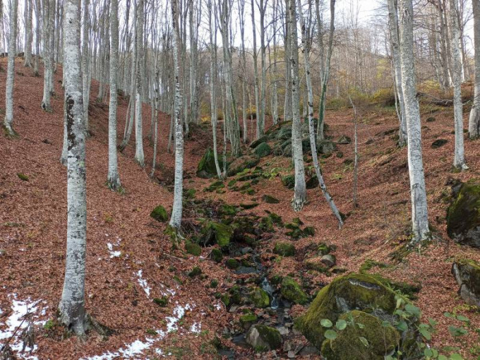 Nebiyan’da sonbahar güzelliği