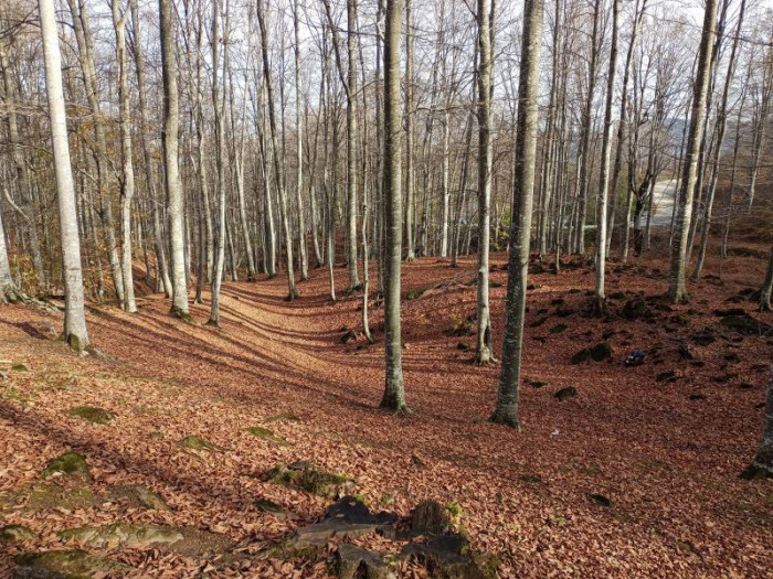 Nebiyan’da sonbahar güzelliği