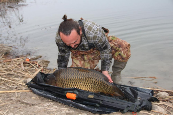 Yakalanan 22 kiloluk dev sazan balığı görenleri hayrete düşürdü