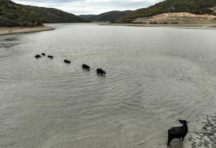 Afrika’yı aratmayan görüntüler İstanbul’da kaydedildi