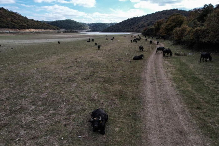 Afrika’yı aratmayan görüntüler İstanbul’da kaydedildi