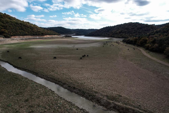 Afrika’yı aratmayan görüntüler İstanbul’da kaydedildi