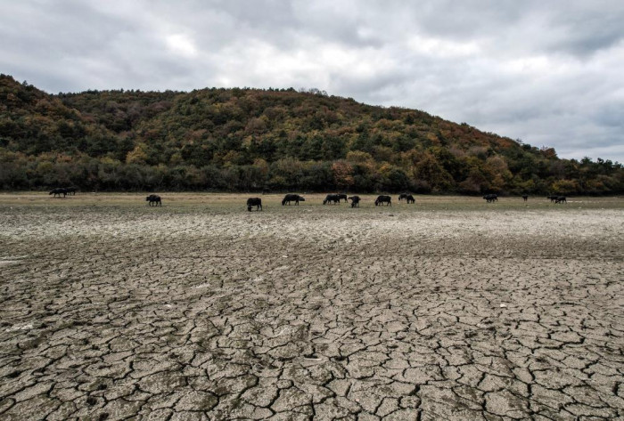 Afrika’yı aratmayan görüntüler İstanbul’da kaydedildi
