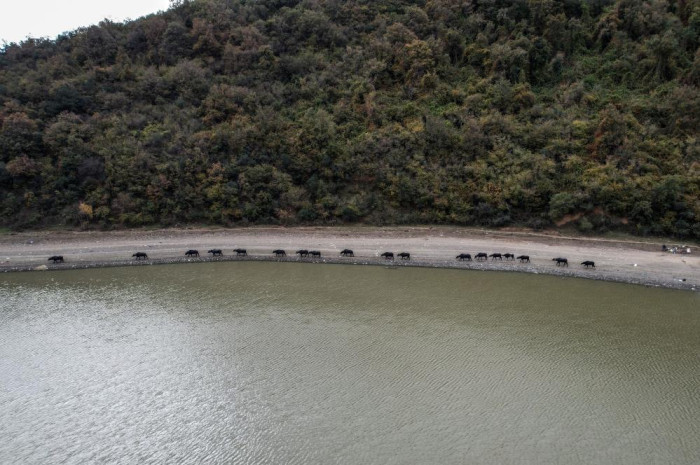 Afrika’yı aratmayan görüntüler İstanbul’da kaydedildi