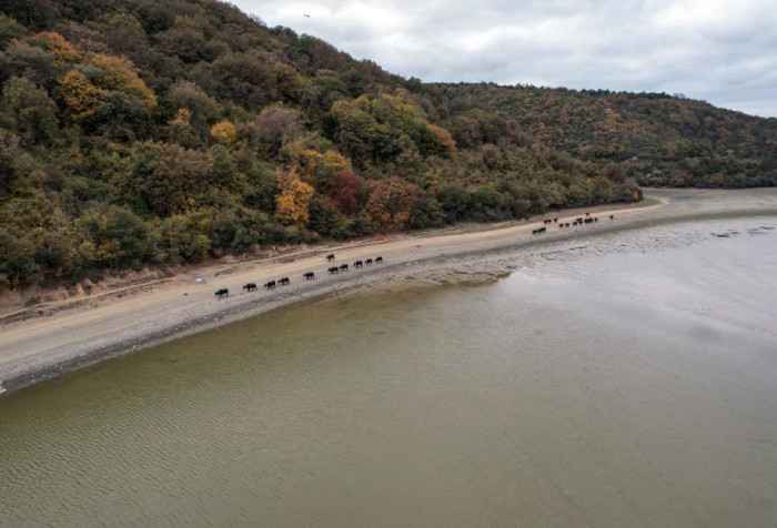 Afrika’yı aratmayan görüntüler İstanbul’da kaydedildi