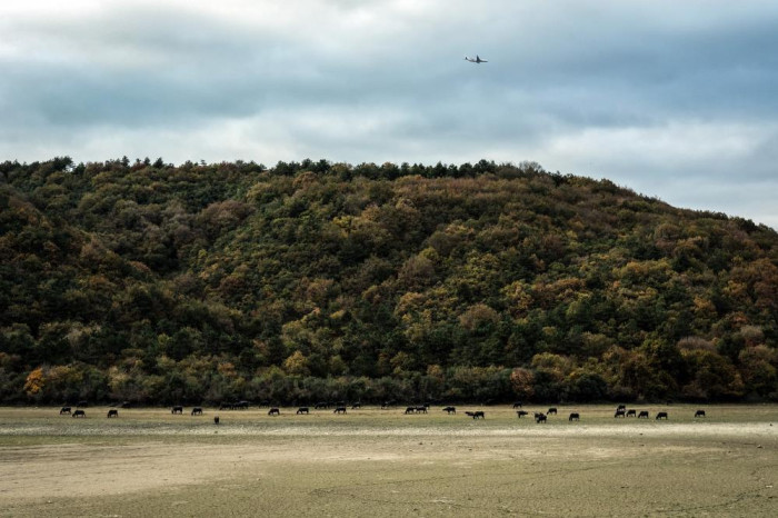 Afrika’yı aratmayan görüntüler İstanbul’da kaydedildi