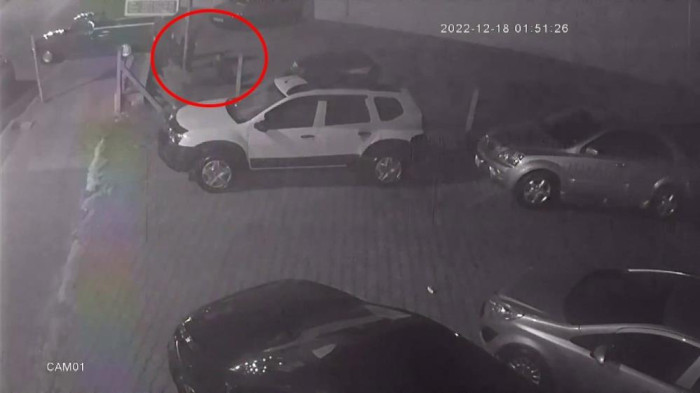 Kendi galerilerinin önünde ölesiye darp edildiler