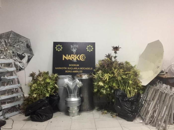  Evi kenevir bahçesine çevirmiş