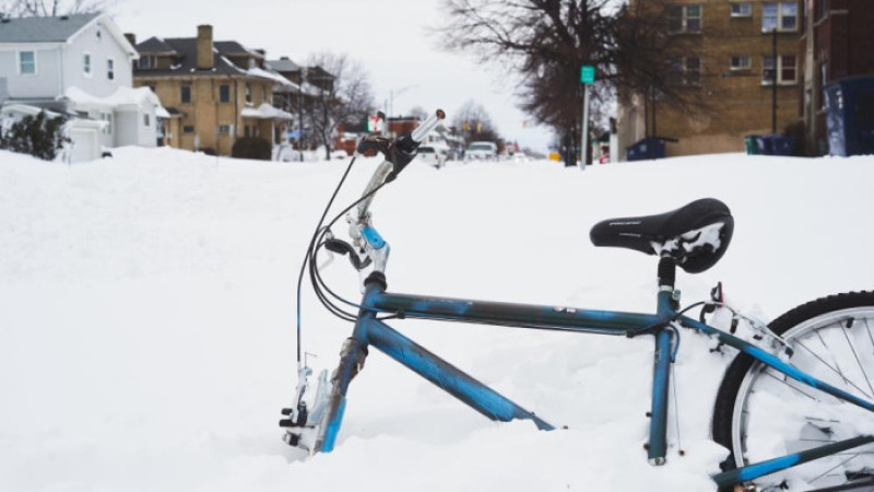 ABD ve Kanada kar esareti altında: 50 ölü