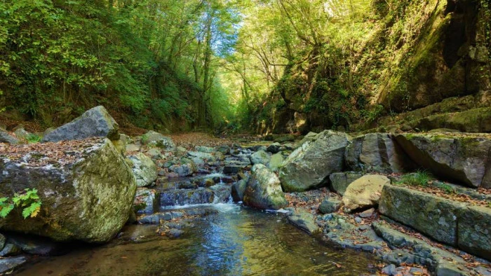 Kabaceviz Şelalesi&rsquo;nde sonbahar manzarası