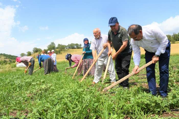 Samsun'da çiftçilere destek