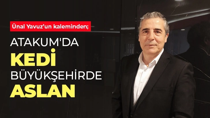 Atakum'da Kedi Büyükşehirde Aslan 