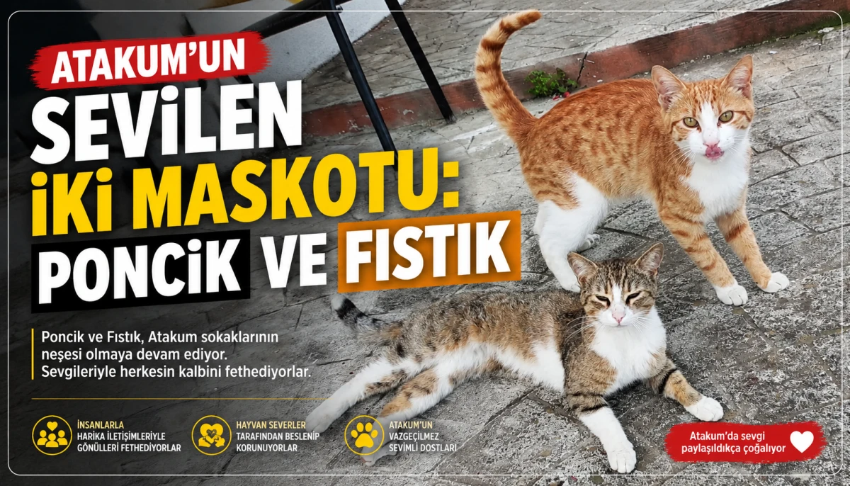 Atakum&rsquo;un Sevilen İki Maskotu: Poncik ve Fıstık