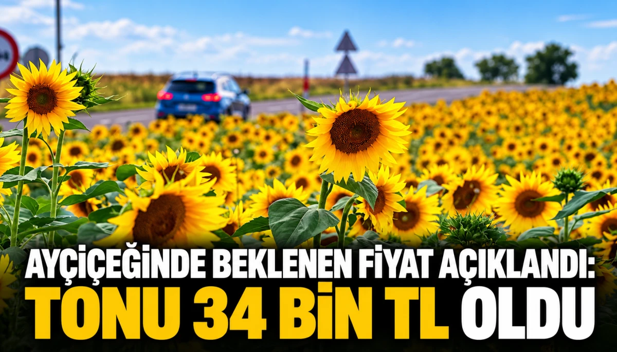 &ldquo;AY&Ccedil;İ&Ccedil;EĞİNDE BEKLENEN FİYAT A&Ccedil;IKLANDI: TONU 34 BİN TL OLDU&rdquo;