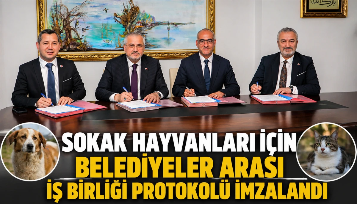 &ldquo;Bafra&rsquo;dan &Ouml;rnek Hamle! Can Dostlar İ&ccedil;in 4 İl&ccedil;e El Ele&rdquo;