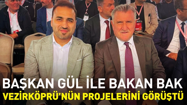 Başkan G&uuml;l, Bakan Bak ile Vezirk&ouml;pr&uuml;&rsquo;n&uuml;n Projelerini G&ouml;r&uuml;şt&uuml;