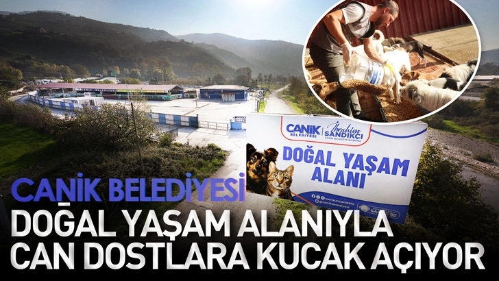 Canik Belediyesi Doğal Yaşam Alanıyla Can Dostlara Kucak A&ccedil;ıyor
