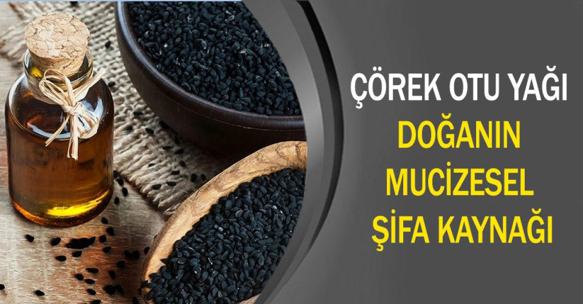 ÇÖREK OTU YAĞI: DOĞANIN MUCİZESEL ŞİFA KAYNAĞI