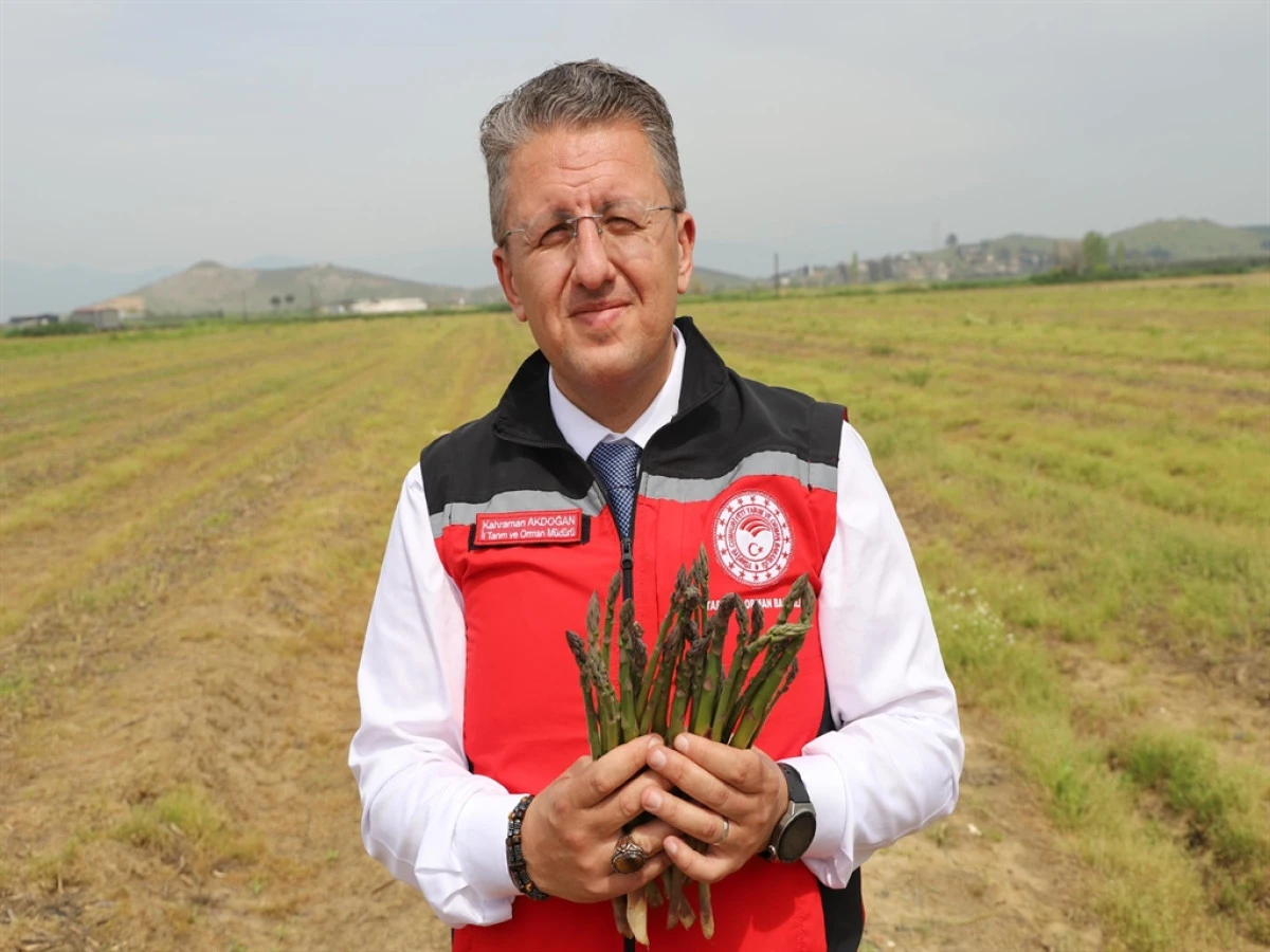 “Faydası Saymakla Bitmiyor! İzmir’de Bu Ürüne Büyük Yatırım”
