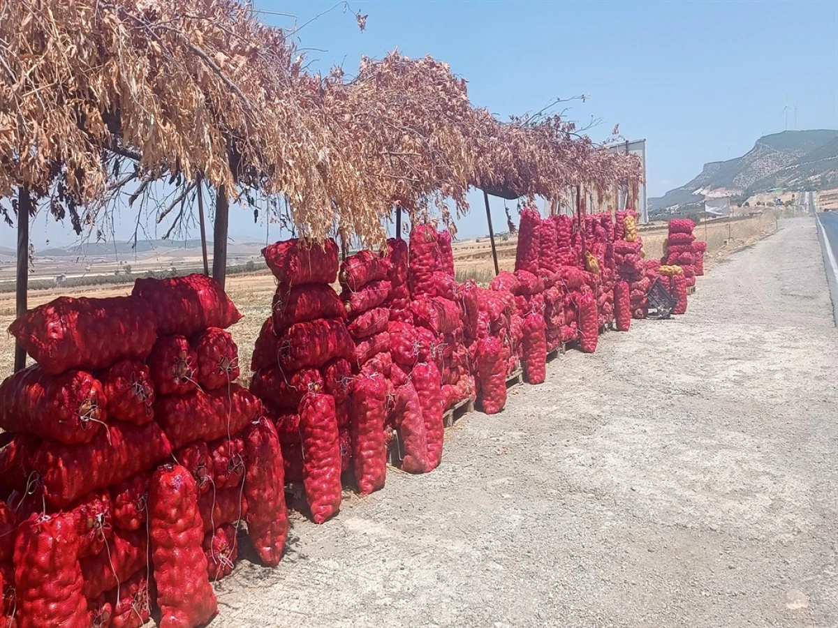 GAZİANTEP ÜRETİCİSİNİ ÜZDÜ: SOĞAN TARLADA UCUZ, TEZGAHTA PAHALI