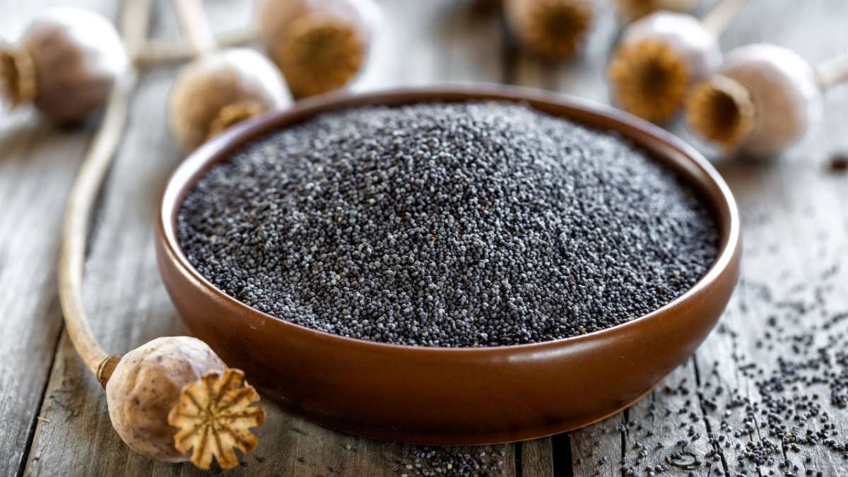 Haşhaşın Faydaları Nelerdir? Neye İyi Gelir? Haşhaş Ne İşe Yarar? 