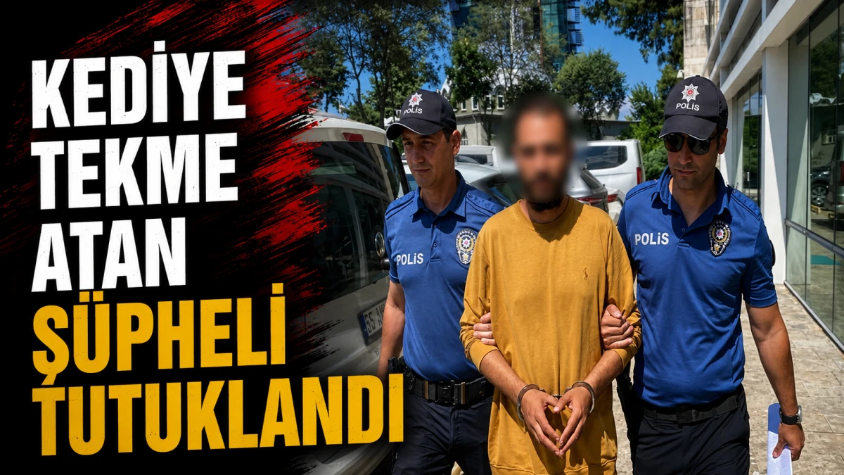 Kediye Tekme Atan Ş&uuml;pheli Tutuklandı