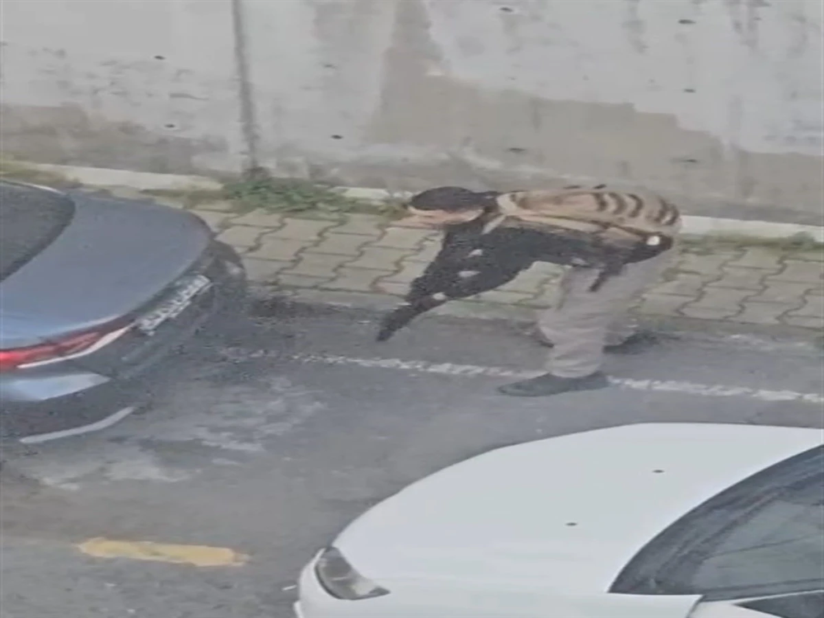 &ldquo;Konsolosluk &Ouml;n&uuml;nde &Ccedil;atışma: 3 Ş&uuml;pheli Etkisiz&rdquo;  hale getirildi