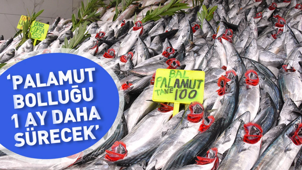 &lsquo;Palamut bolluğu en az 1 ay daha s&uuml;recek&rsquo;