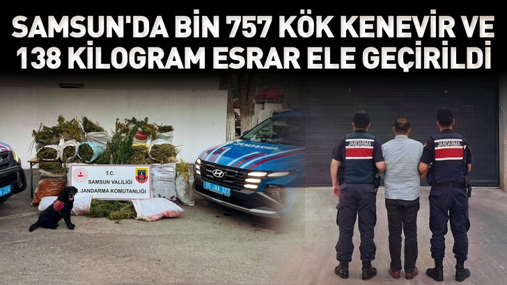 Samsun'da bin 757 k&ouml;k kenevir ve 138 kilogram esrar ele ge&ccedil;irildi