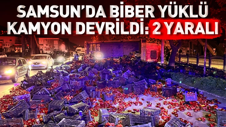 Samsun'da devrilen kamyondaki biberler yola sa&ccedil;ıldı; 2 yaralı
