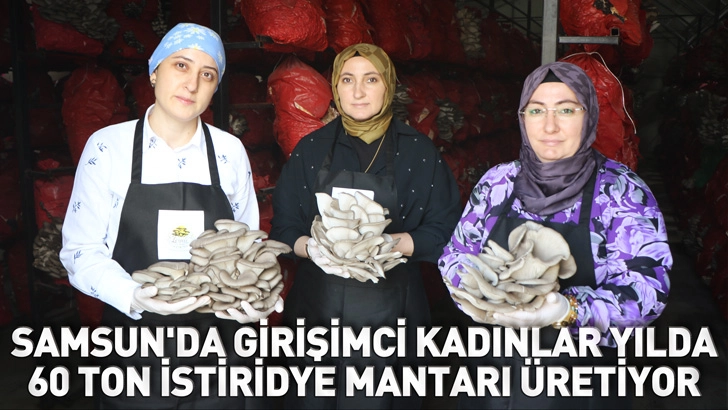 Samsun'da girişimci kadınlar yılda 60 ton istiridye mantarı &uuml;retiyor