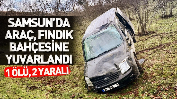 Samsun'da hafif ticari ara&ccedil;, fındık bah&ccedil;esine yuvarlandı: 1 &ouml;l&uuml;, 2 yaralı