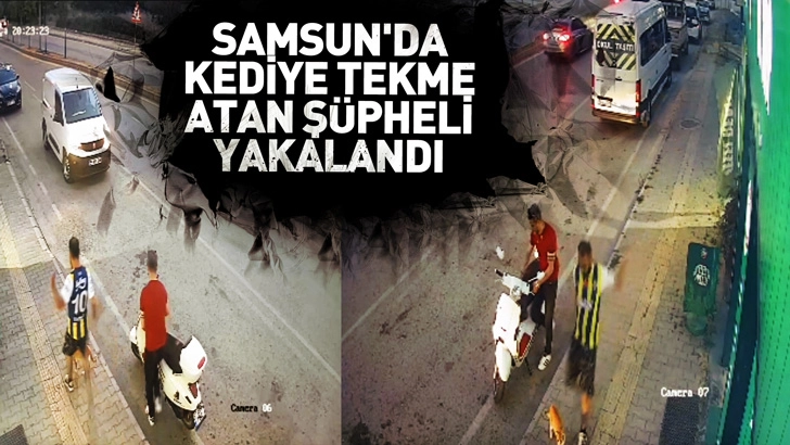 Samsun'da kediye tekme atan ş&uuml;pheli yakalandı