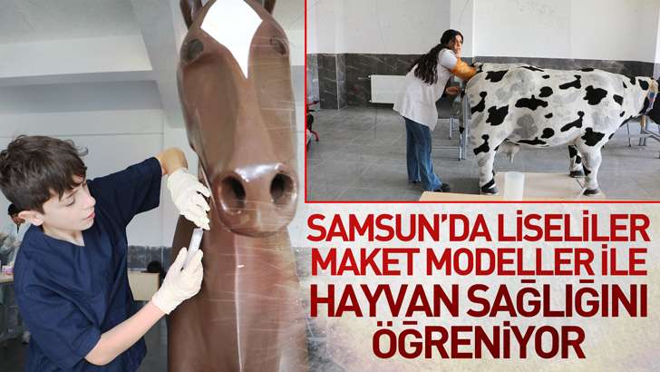 Samsun’da liseliler maket modeller ile hayvan sağlığını öğreniyor