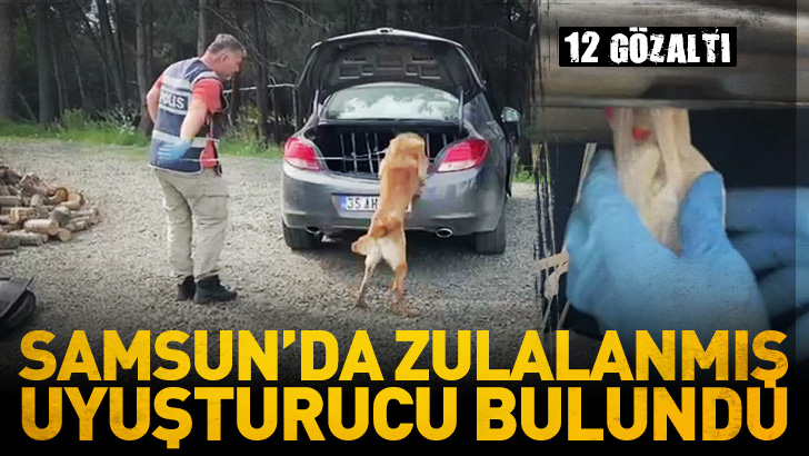 Samsun'da Narkotik dedektör köpeği araca zulalanmış uyuşturucu buldu: 12 gözaltı