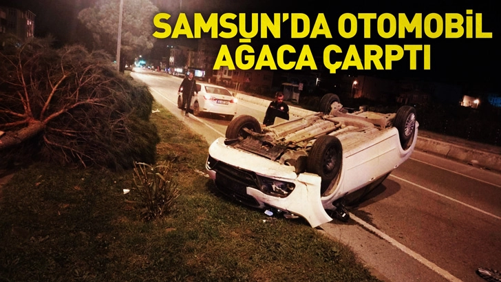 Samsun'da otomobil, ağaca çarpıp ters döndü; 1 yaralı