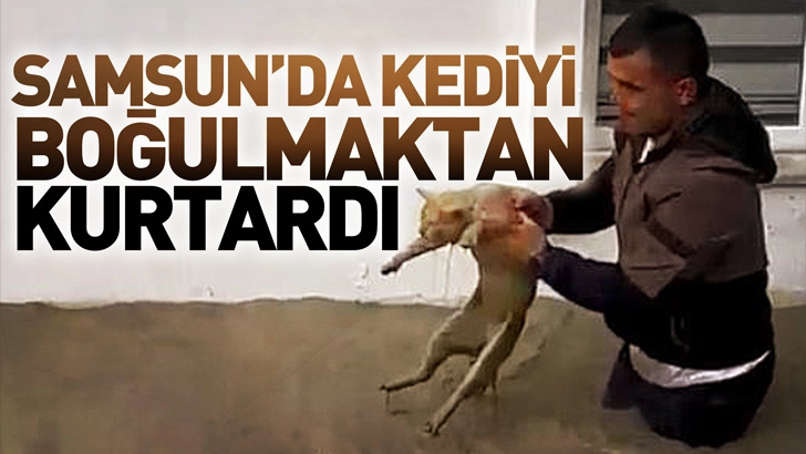 Samsun'da sel sularına kapılan kediyi boğulmaktan kurtardı