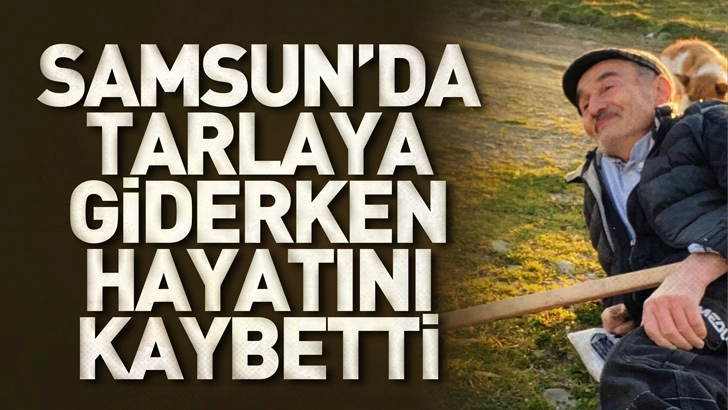 Samsun'da Tarlaya Giderken Hayatını Kaybetti