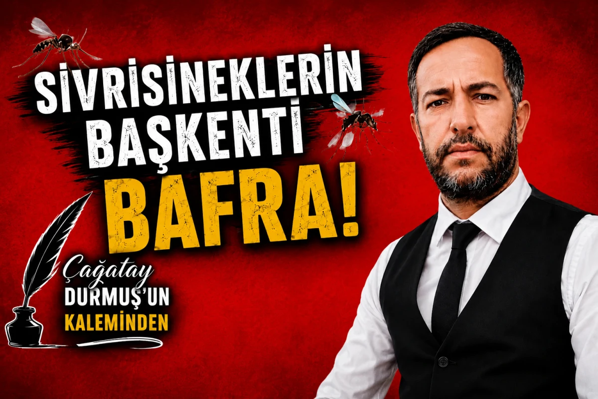 Sivrisineklerin Başkenti Bafra!