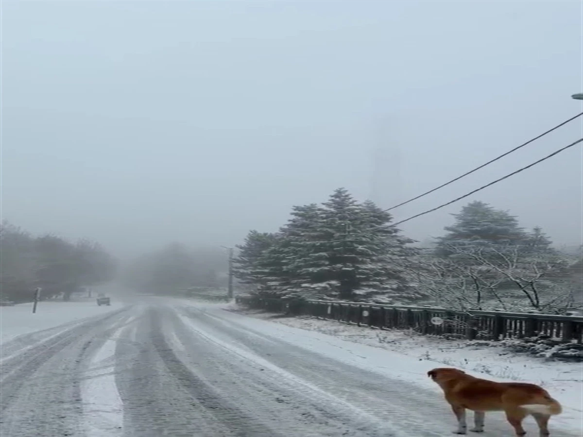 Uludağ’da kar kalınlığı 5 santimetreye ulaştı