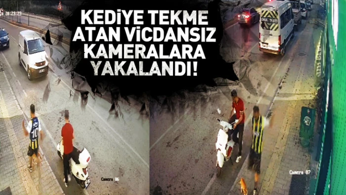 SAMSUN'DA KEDİYE TEKME ATAN VİCDANSIZ KAMERALARA YAKALANDI!